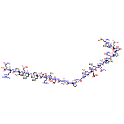 C-Peptide 2, rat