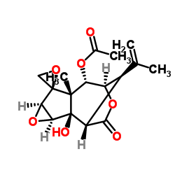 2-邻乙酰基羟基马桑毒素