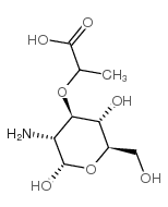 胞壁酸