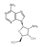 2'-氨基-2'-脱氧腺苷