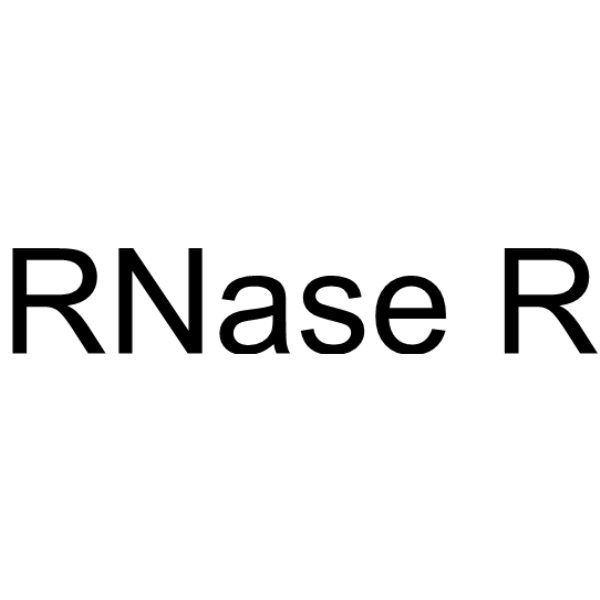 RNase R