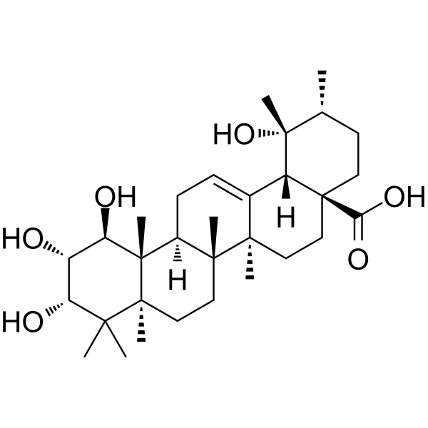 1BETA-羟基刺梨酸