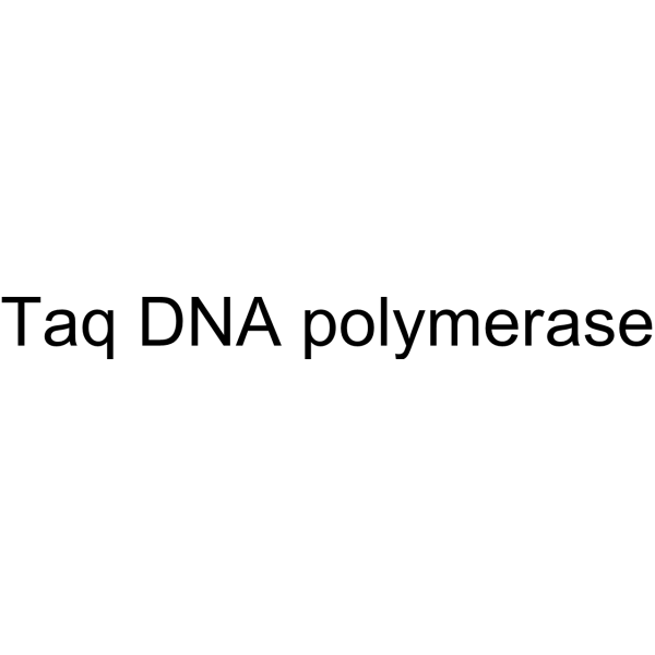 Taq DNA polymerase