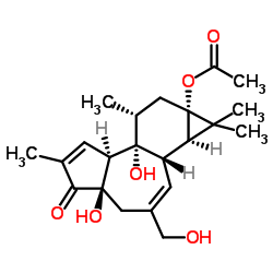 酪氨酸激酶抑制剂