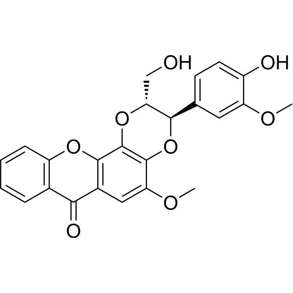 Kielcorin