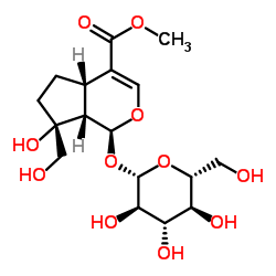 Splendoside